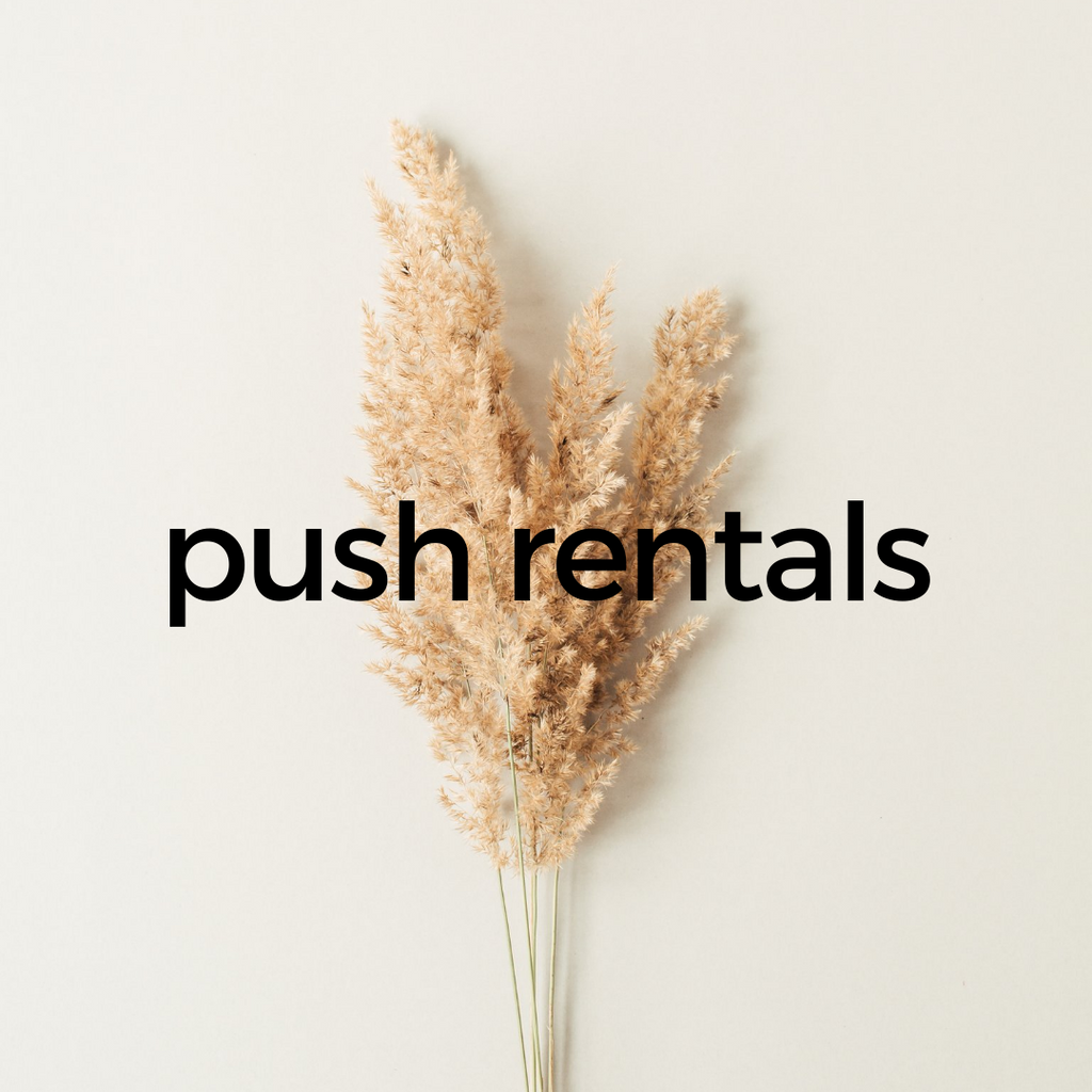 Push Rentals